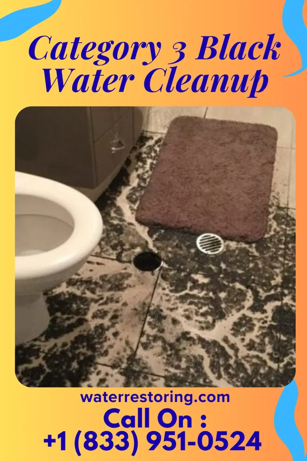 Category 3 Black Water Cleanup in Coal Creek, CO